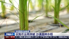 <b>动物工场戈壁里能种水稻？揭秘种菜“黑科技”</b>