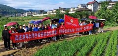 剑阁县武连镇：“银龄帮农”项目首场农技成效